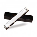 Muzicuta metalica in cutie (qi mei) - www.lutek.ro