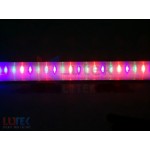 Neon disco cu Led si joc de lumini (LTK-NEN01) - www.lutek.ro